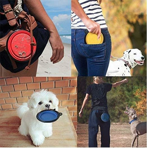 Collapsible Dog Bowls - Coastal Paw & Co