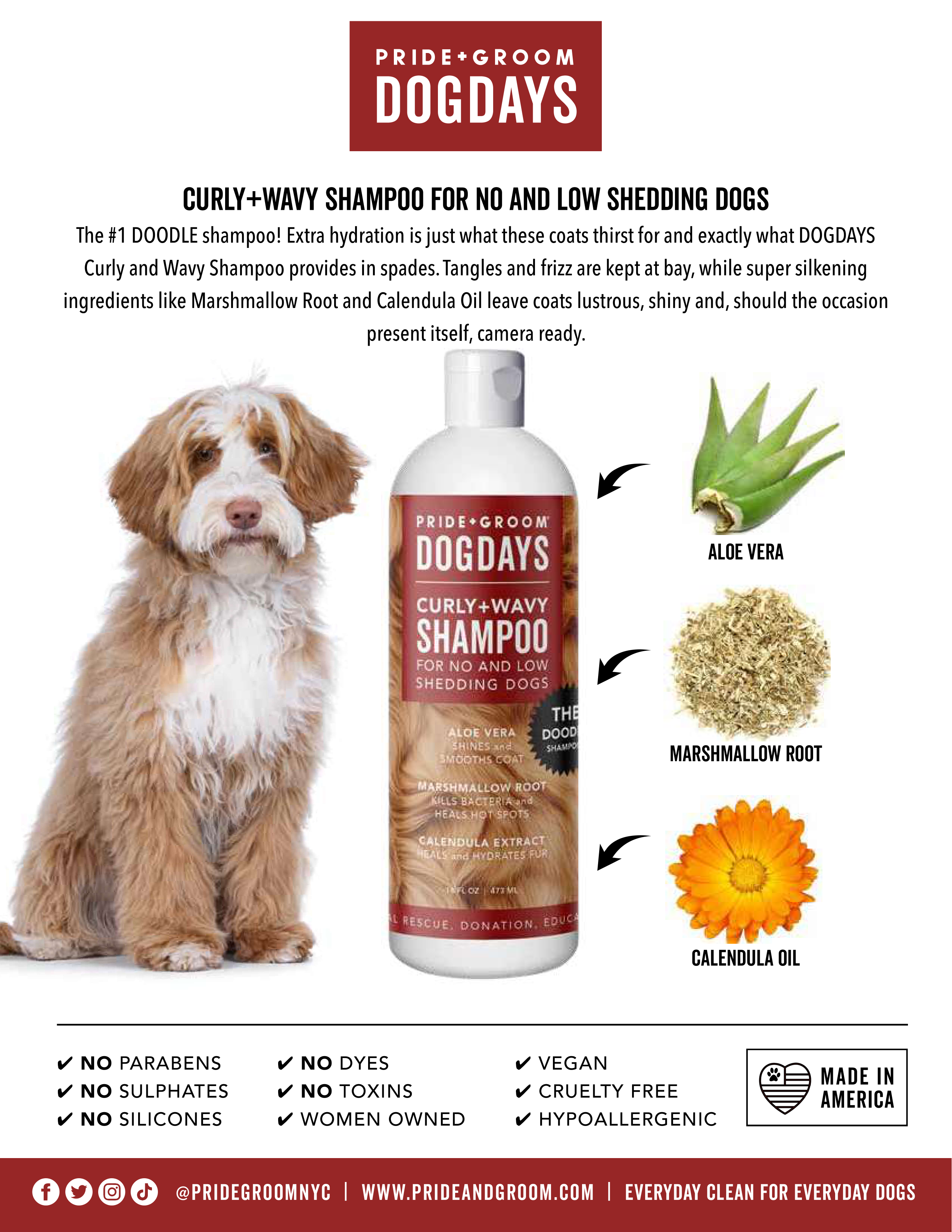 DOGDAYS Hydrating Dog Shampoo for Curly & Wavy Coats — Tear-Free, Vegan, and Hypoallergenic - Coastal Paw & Co
