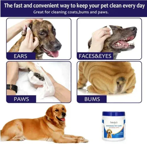 Pet cleaning wipes used on dog's ears, face, paws, and bums for daily coat and paw care