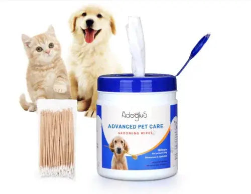 Pet grooming wipes container with cotton swabs, happy dog and curious cat, advanced pet care