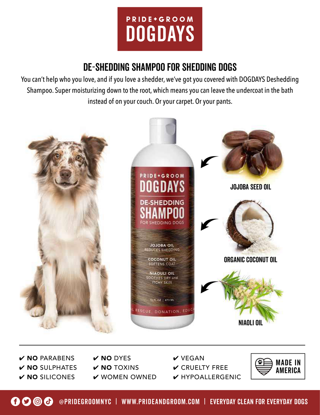 DOGDAYS De-Shedding Shampoo — Deep Moisturizing Deshedding Formula for Dogs - Coastal Paw & Co