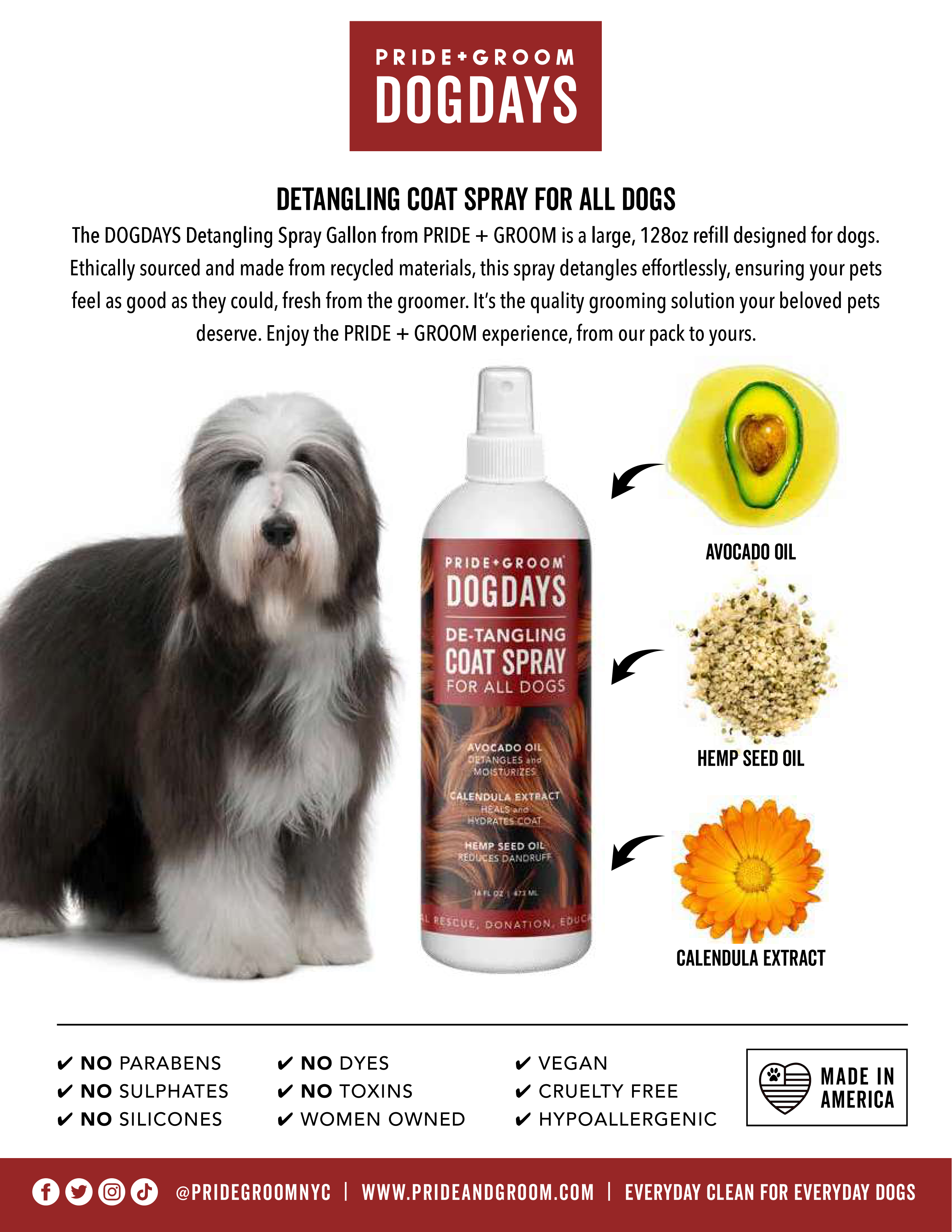 DOGDAYS Leave-In Detangling Spray — Hydrating, Frizz-Control Formula for All Coat Types - Coastal Paw & Co