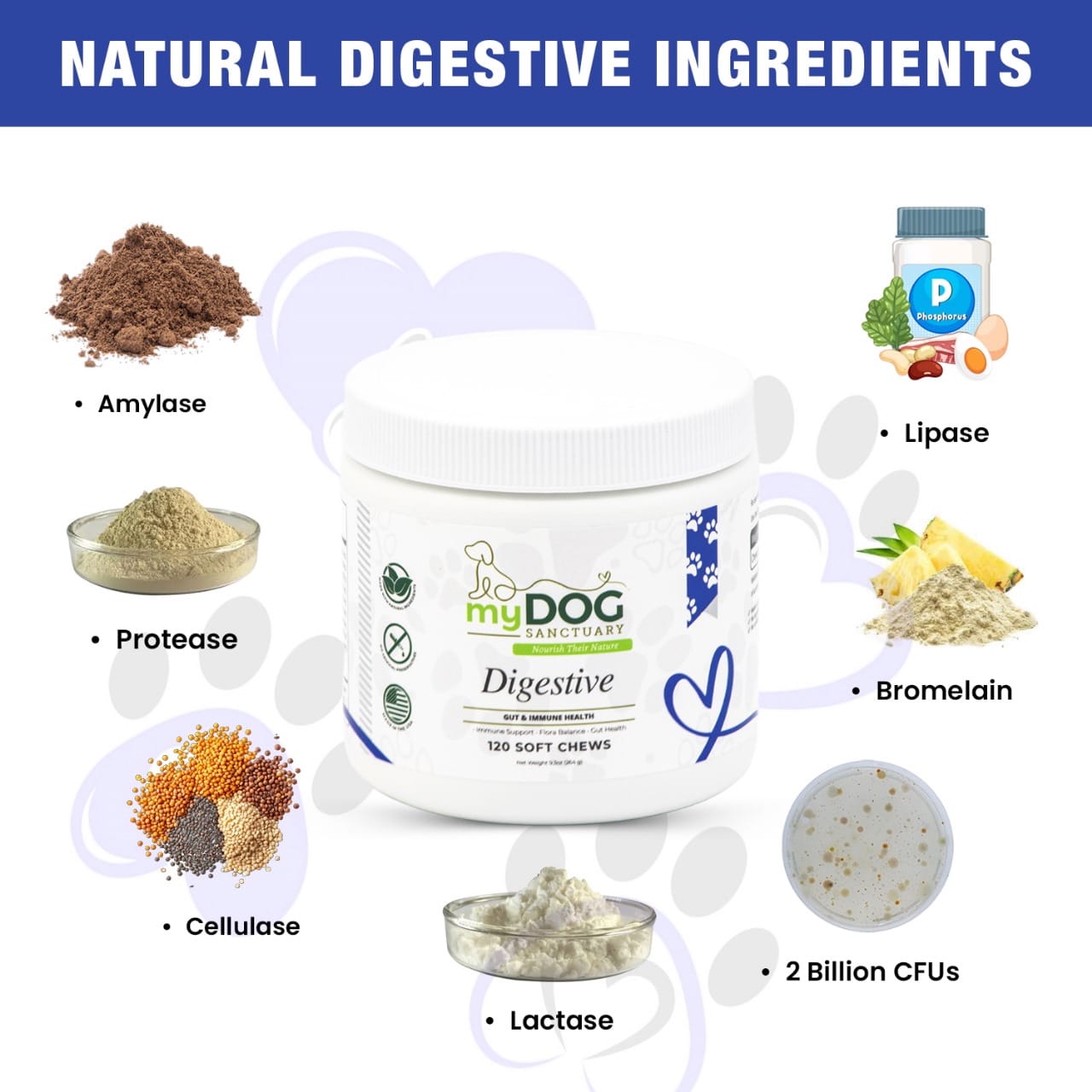 Gut Garden Digestive Support Chews