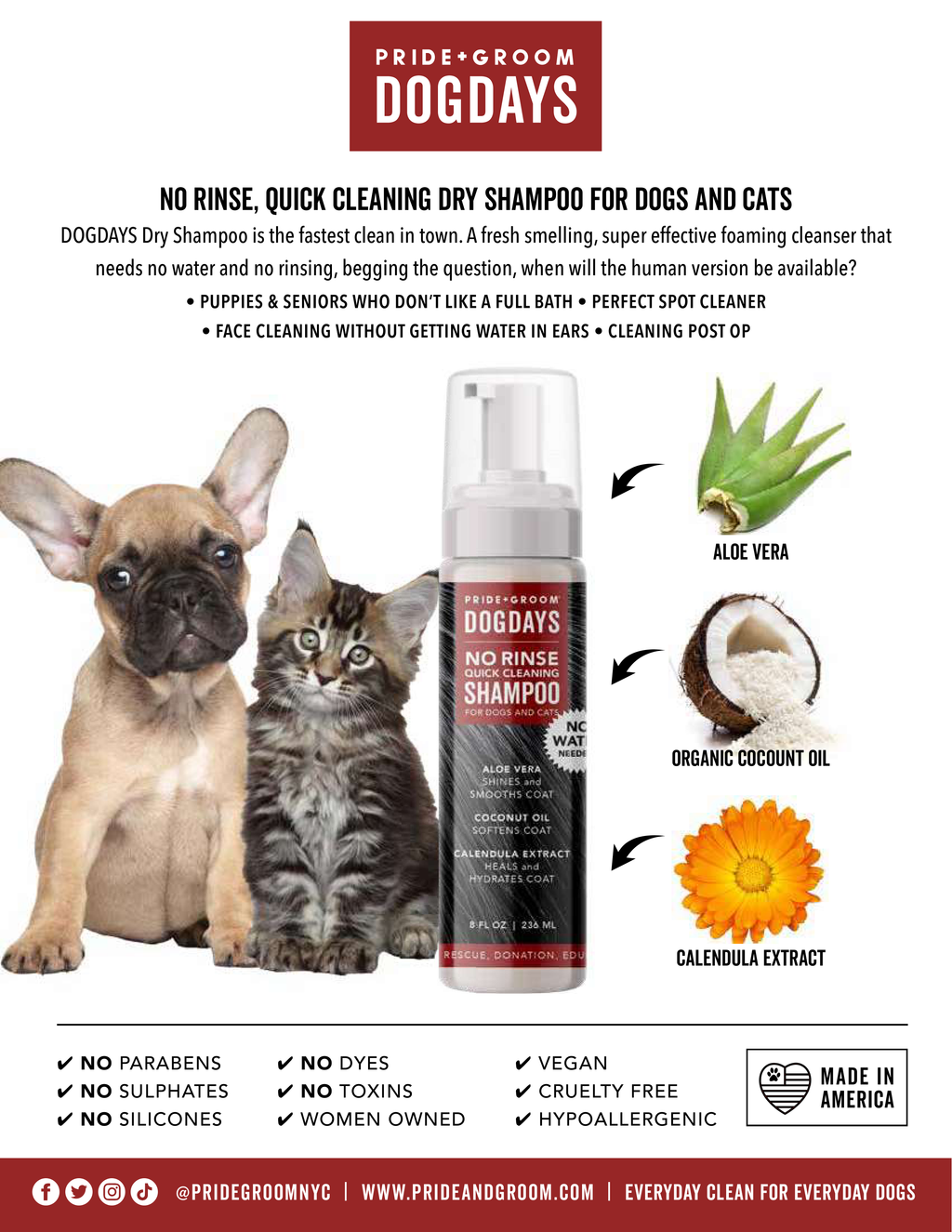 DOGDAYS Waterless Foaming Shampoo for Dogs & Cats -—No-Rinse, Odor-Eliminating Cleanser - Coastal Paw & Co