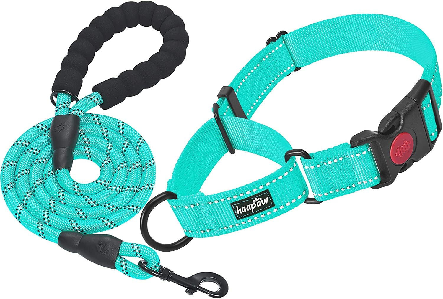 Martingale Dog Collar and Leash Set, turquoise