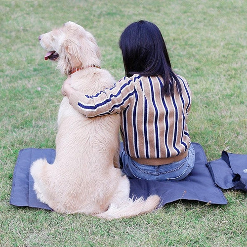 Woman in striped sweater sitting on mat outdoors with golden retriever dog, enjoying nature together