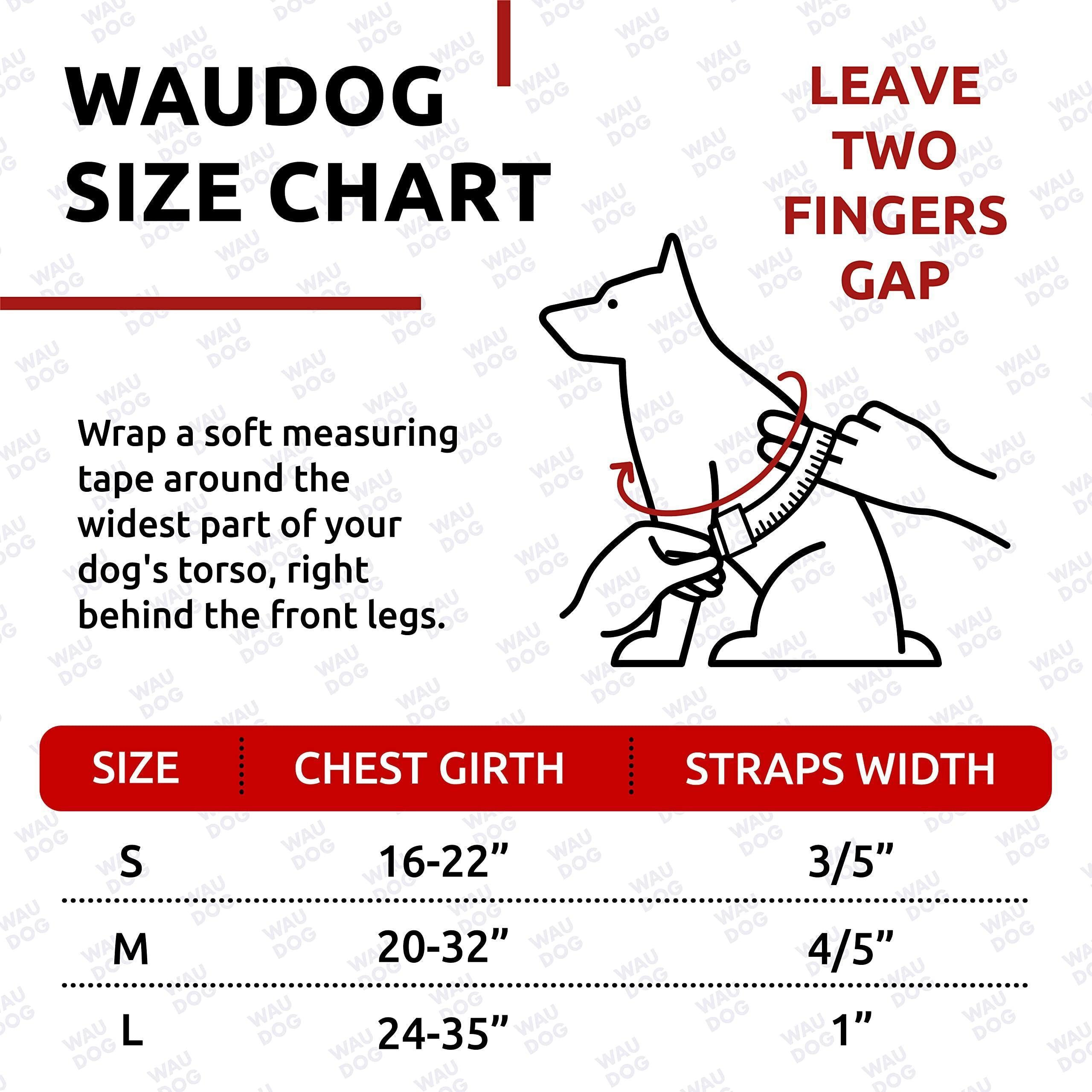 WAUDOG Waterproof Adjustable Dog Harness with Durable Metal Clasp and QR Dog Tag, Blue (24-35In)
