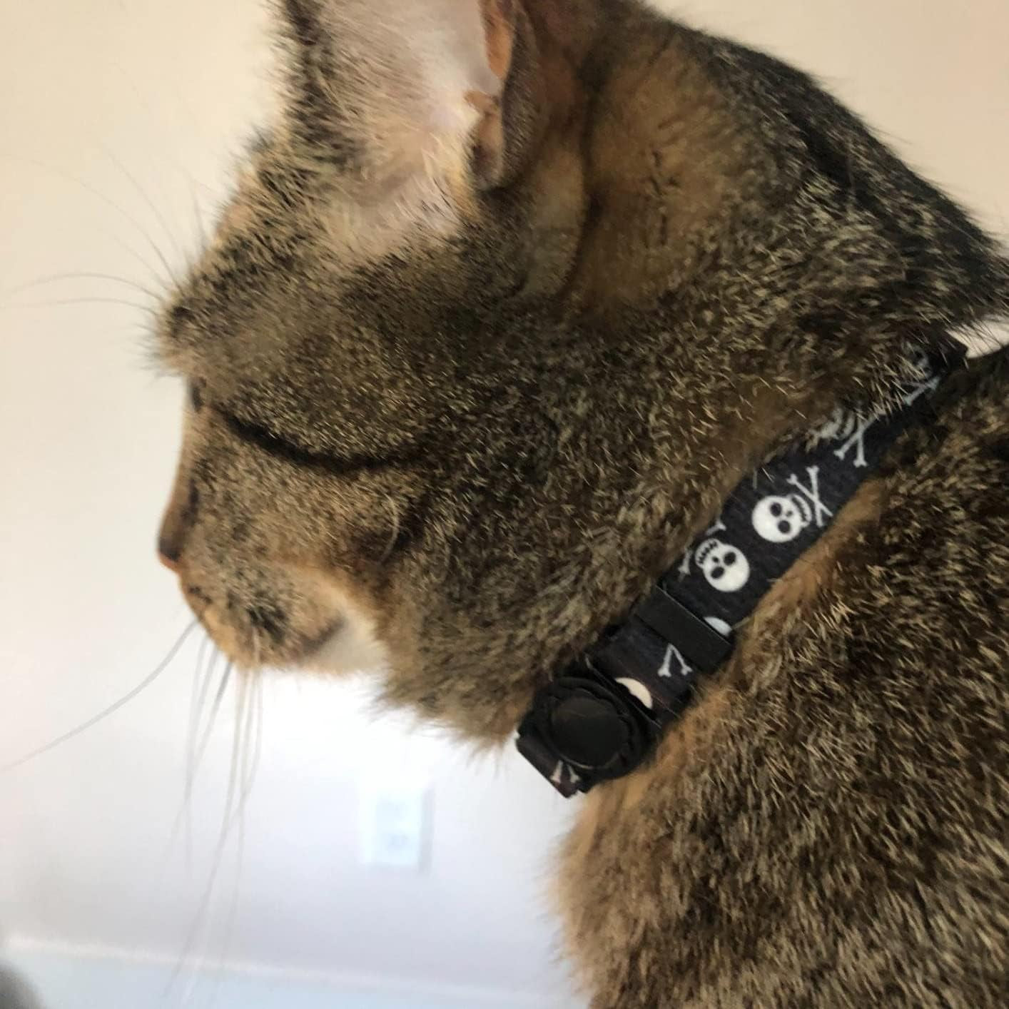 Breakaway Cat Collar with Bell Charm, 2 Packs Adjustable Kitty Collars Pink & Black Skull Pattern, 7.8-11.8 In