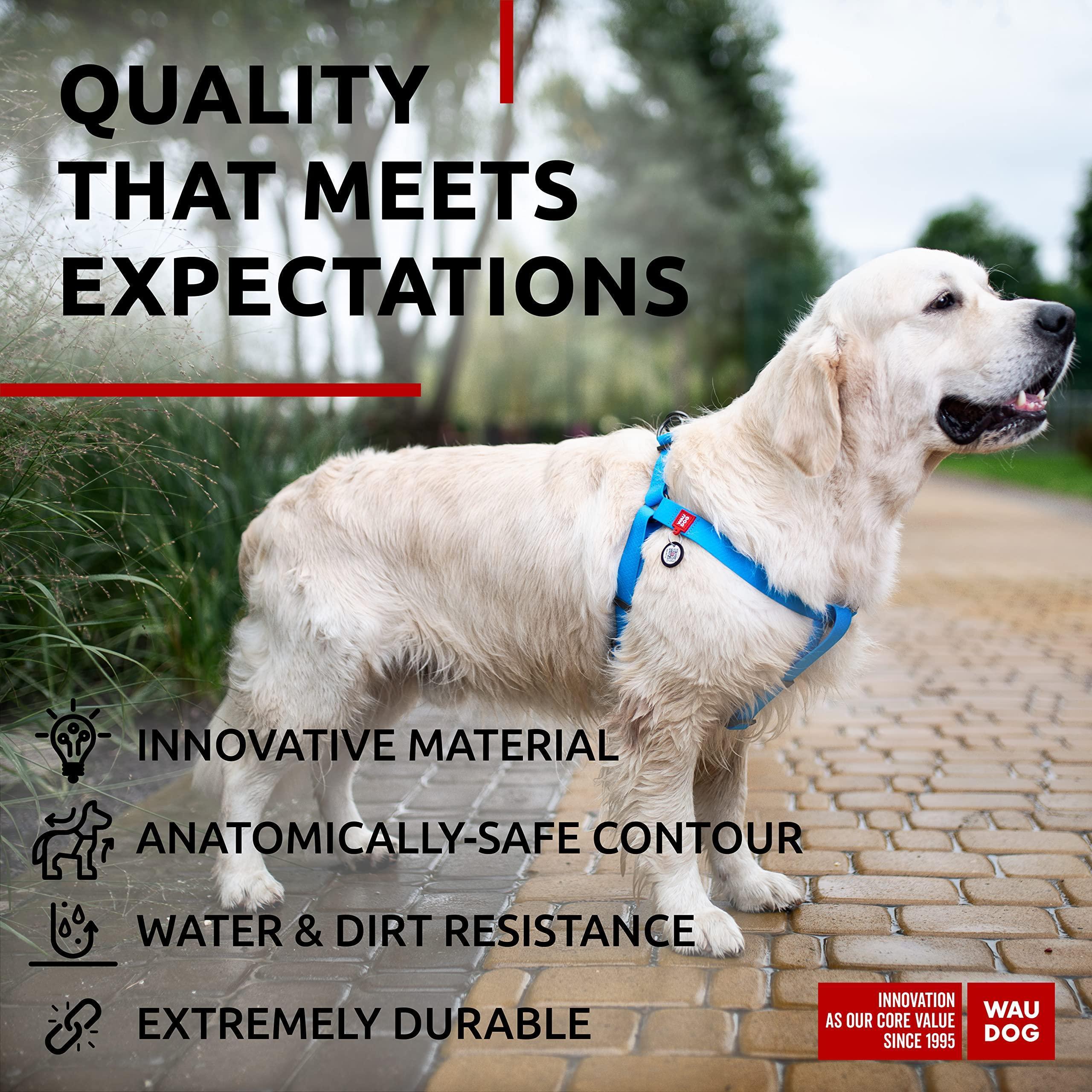 WAUDOG Waterproof Adjustable Dog Harness with Durable Metal Clasp and QR Dog Tag, Blue (24-35In)