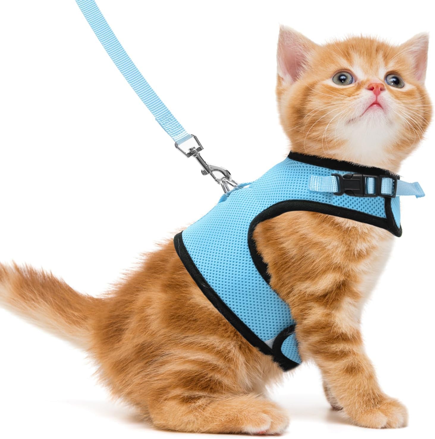 Soft Mesh Cat Vest Harness and Leash Set Puppy Padded Pet Harnesses Escape Proof for Cats Small Dogs, Blue Small