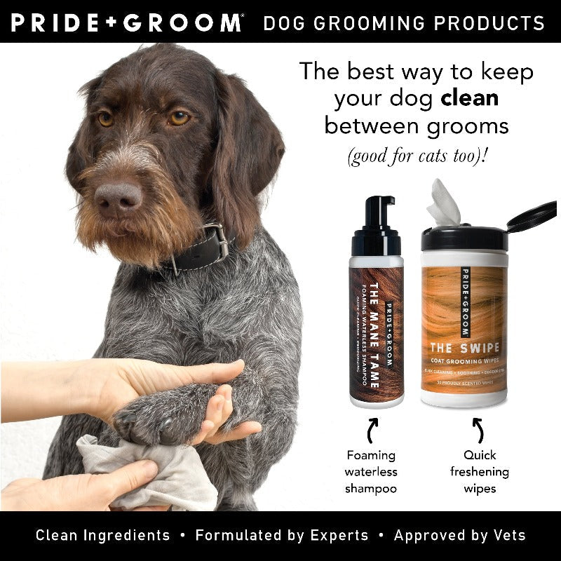 THE MANE TAME Waterless Dog & Cat Shampoo — No-Rinse Pet Grooming and Quick Cleaning - Coastal Paw & Co