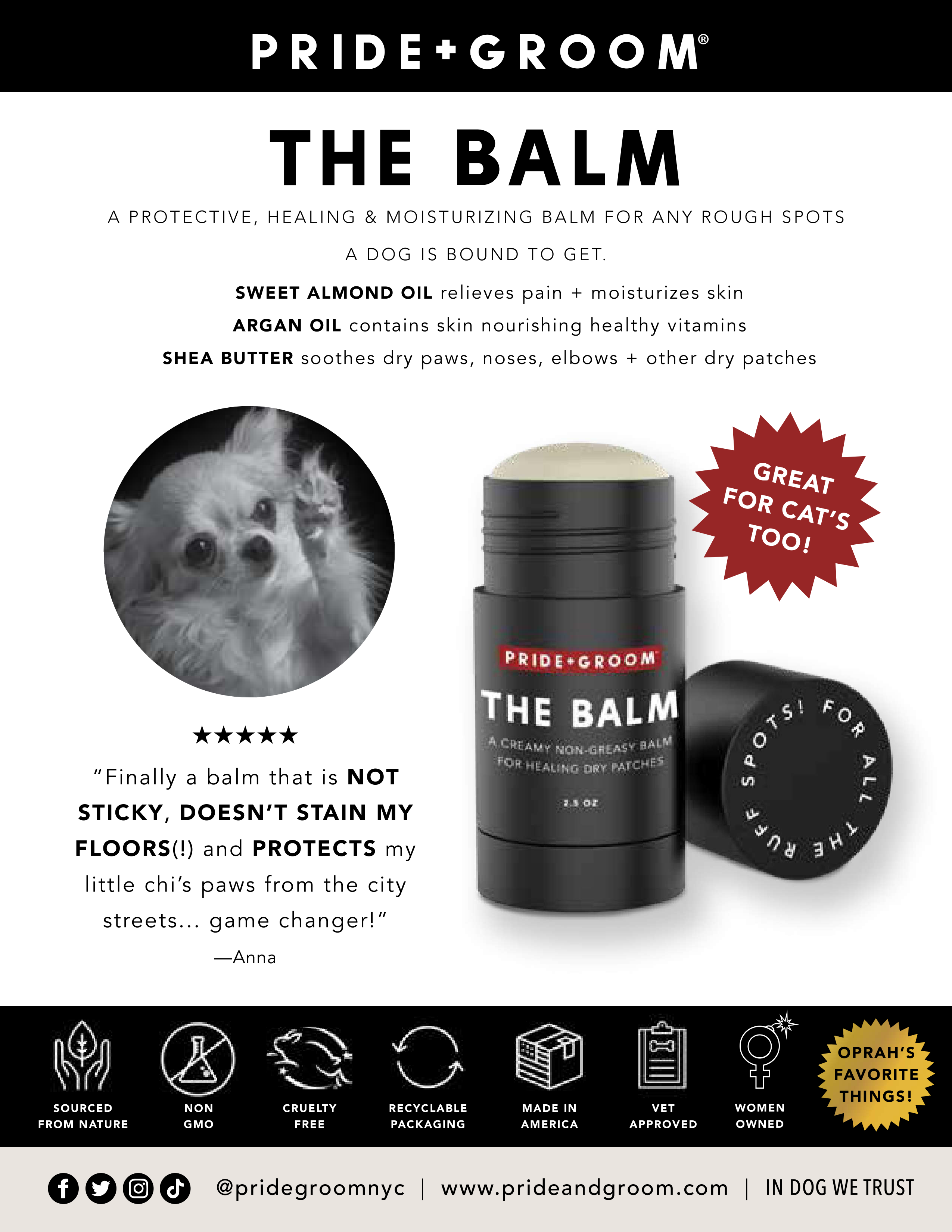 THE BALM Healing Pet Balm — Natural Paw & Nose Moisturizing Balm for Dogs & Cats - Coastal Paw & Co