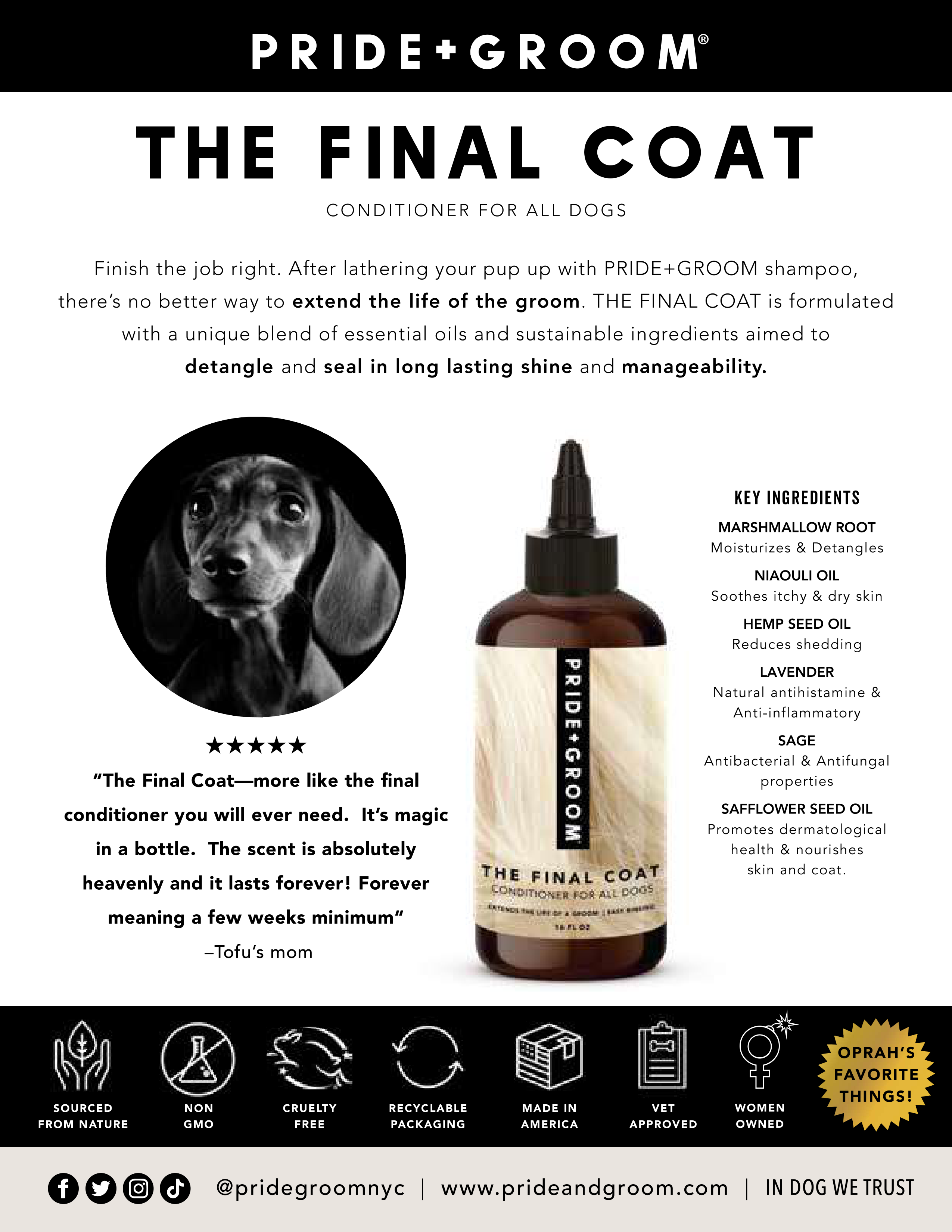 THE FINAL COAT Dog Conditioner — All-Natural, Vegan, Hypoallergenic Conditioner for a Soft, Shiny Coat - Coastal Paw & Co