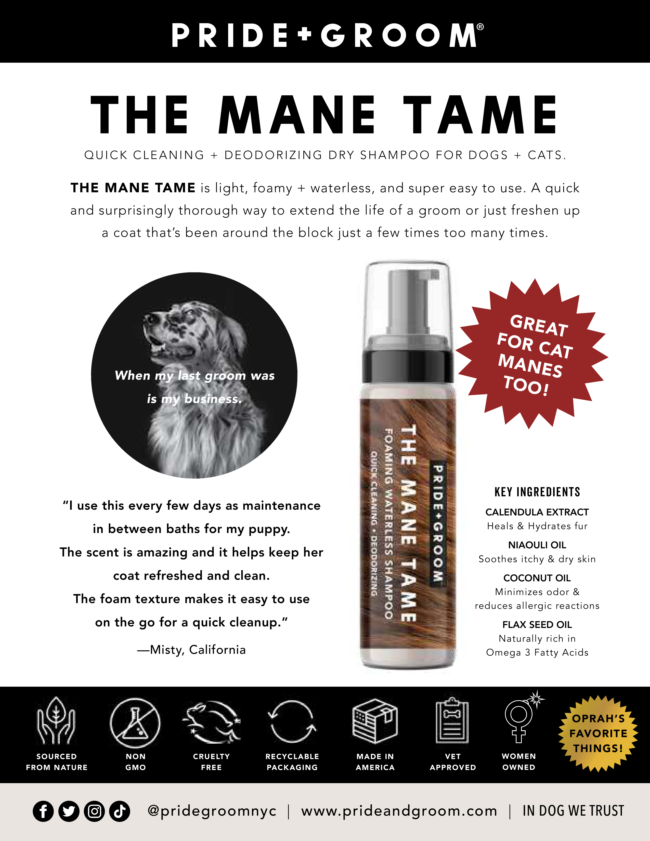 THE MANE TAME Waterless Foaming Dog & Cat Shampoo | No-Rinse, Quick Freshen-Up - Coastal Paw & Co