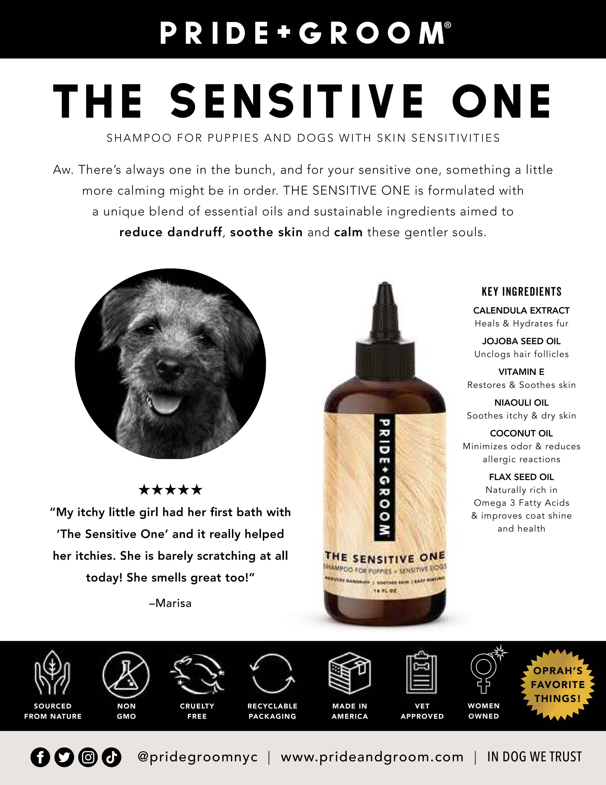 THE SENSITIVE ONE Hypoallergenic Dog & Puppy Shampoo — With Hemp Oil, Aloe & Oatmeal for Sensitive Skin - Coastal Paw & Co