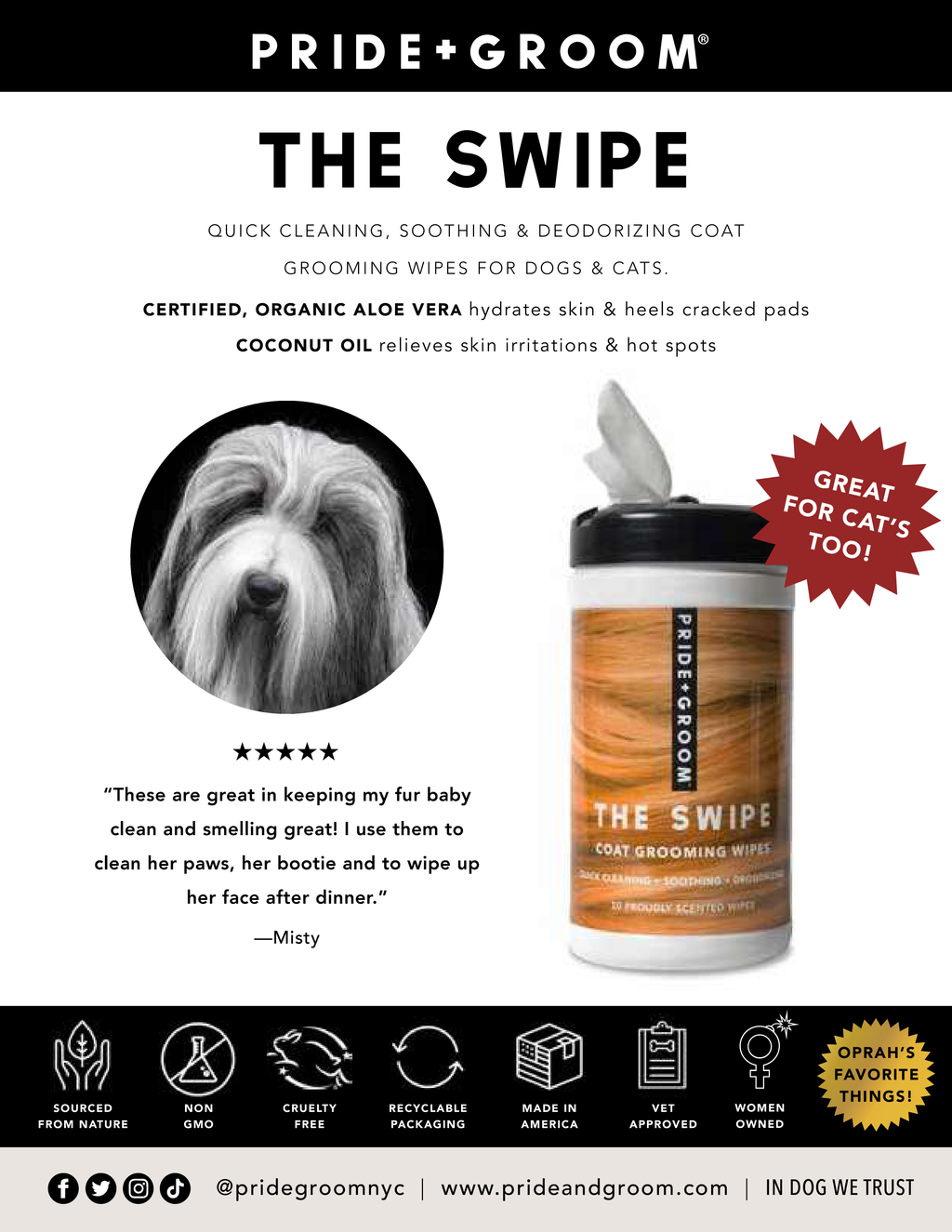 THE SWIPE Wet Pet Wipes — Alcohol-Free, Hypoallergenic Cleansing Wipes for Dogs & Cats - Coastal Paw & Co